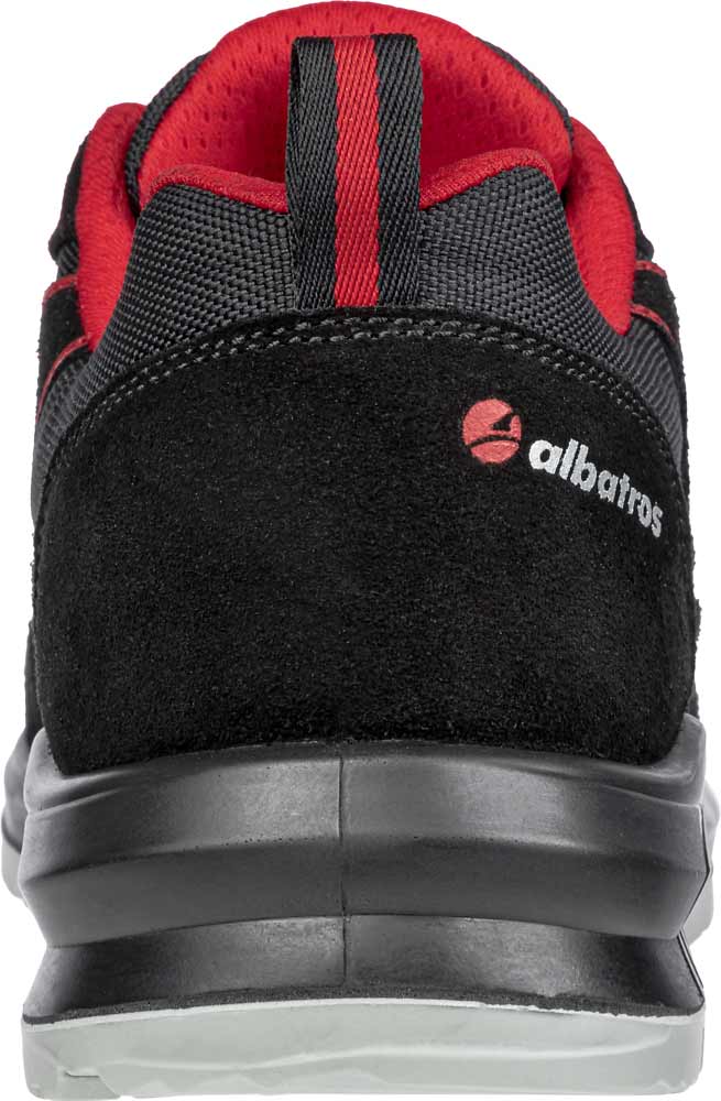 Albatros® - Clifton Low